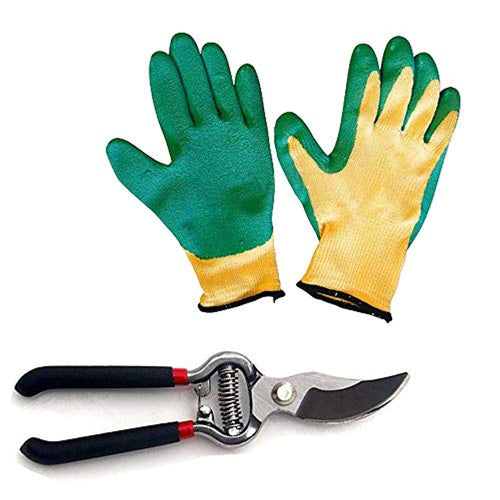 Rockeyshop Gardening Tools - Falcon Gloves and Pruners